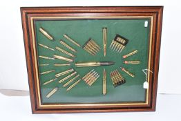 A MODERN CARTRIDGE DISPLAY BOARD, bearing inert military and commercial calibre rifle cartridges