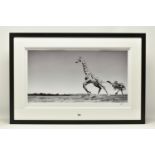 ANUP SHAH (KENYAN CONTEMPORARY) 'DANCE', a signed limited edition photographic print depicting a