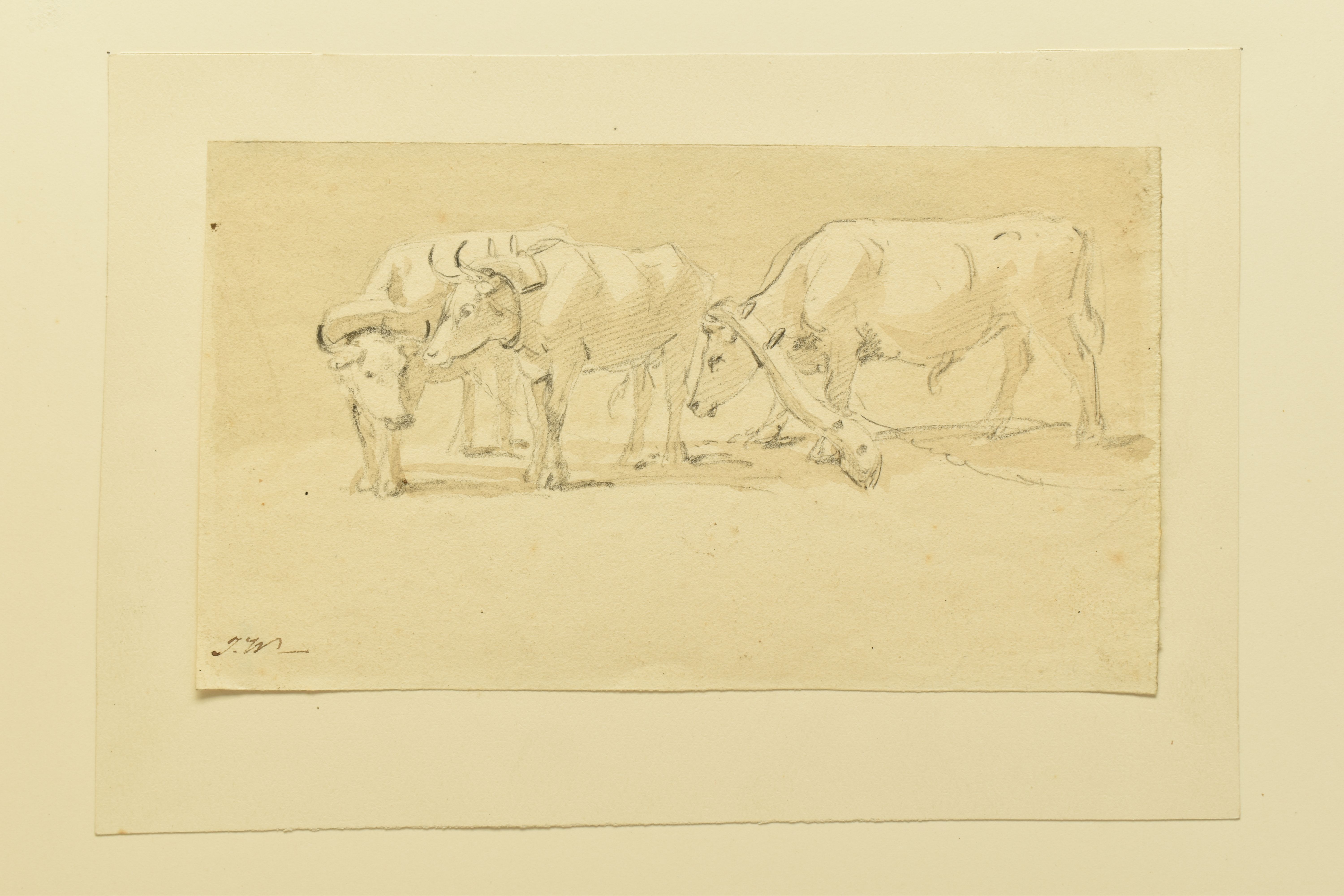 JAMES WARD (1769-1859) DRAUGHT OXEN, a study of oxen wearing yokes, initialled bottom right, - Image 3 of 5