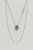 AN 18CT WHITE GOLD, TANZANITE AND DIAMOND CLUSTER PENDANT NECKLACE, the pendant of an oval form, set