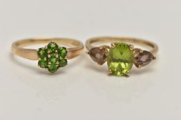 TWO 9CT GOLD GEM SET RINGS, the first a tsavorite garnet cluster ring, flower shape, to a polished