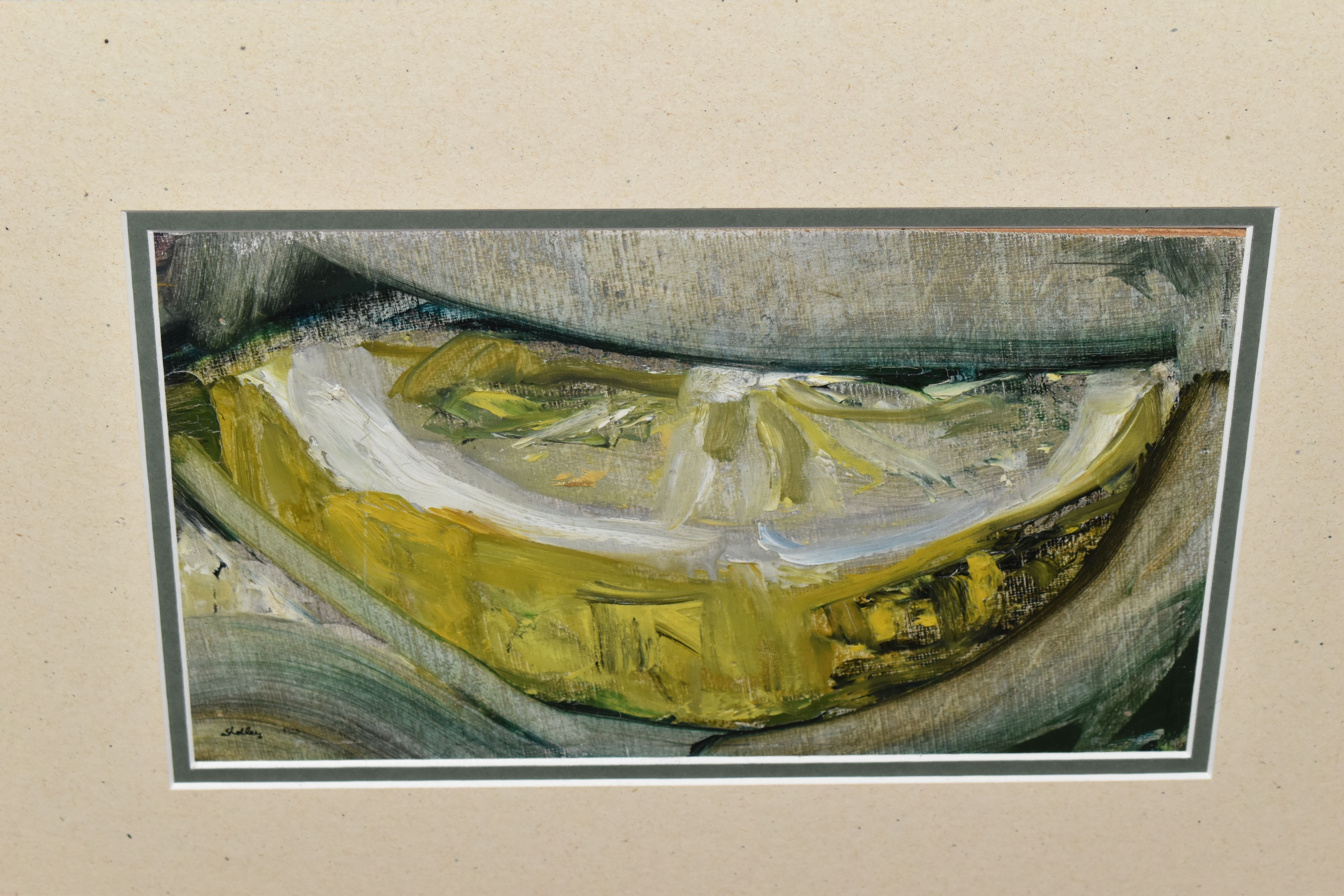 TIMOTHY SHELLEY (20TH CENTURY) LEMON SLICE, an abstract study of a slice of lemon, signed and - Image 2 of 4