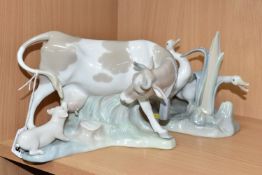 TWO LLADRO GROUP FIGURINES, comprising 4640 'Cow nursing a piglet' sculpted by Vincente Martinez
