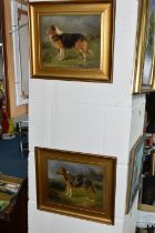 TWO LATE 19TH CENTURY FRAMED OIL ON CANVAS PORTRAITS OF WORKING COLLIES, one portrait is of a