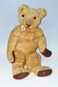 A LARGE WELL LOVED GOLDEN PLUSH TEDDY BEAR, replacement button eyes, horizontal stitched nose,