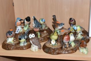 A COLLECTION OF BESWICK BIRDS WITH TWO DISPLAY STANDS, fifteen birds comprising Kingfisher 3275,