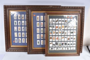 THREE FRAMED AND GLAZED DISPLAYS OF CIGARETTE CARDS FEATURING BRITISH ARMY UNIFORMS AND HEADDRESS,