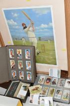 TWO CIGARETTE CARD ALBUMS AND A BOX OF CIGARETTE CARDS containing a miscellaneous collection of