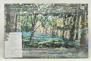 TIMMY MALLETT (BRITISH CONTEMPORARY) 'Bluebell Shadows', limited edition box canvas print of a