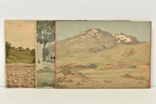 JOHN ALFRED HAGGIS (1897-1968) THREE LANDSCAPE STUDIES, comprising a landscape with trees, signed