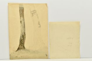 CORNELIUS VARLEY (1781-1873) A BOTANICAL PENCIL SKETCH, a study of Ash trees, signed, titled and