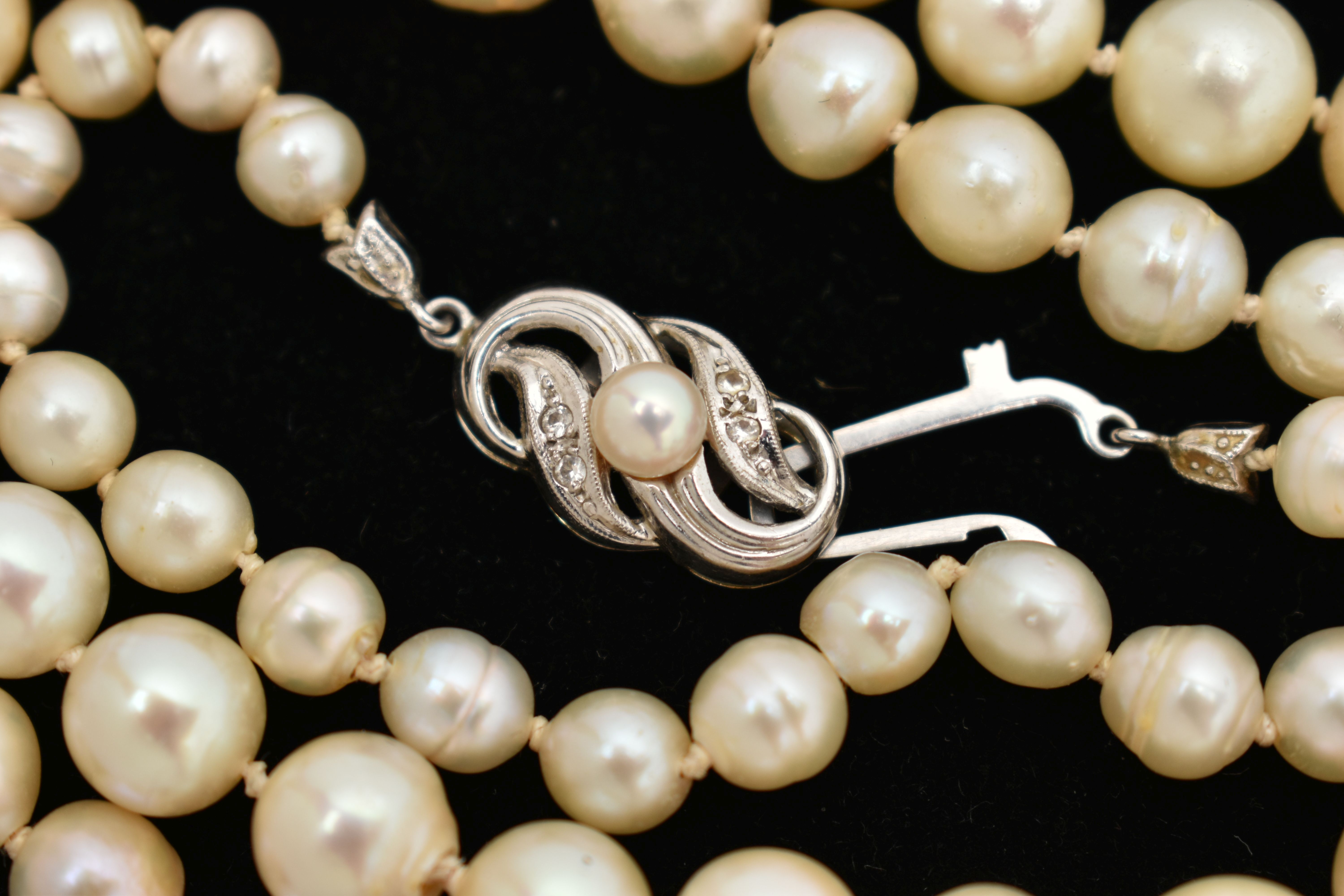 A SINGLE STRAND OF CULTURED PEARLS, individually knotted, graduated pearls, measuring - Image 4 of 4