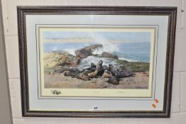 DAVID SHEPHERD (1931-2017) 'ELEPHANT SEALS', depicting a colony on the shoreline, signed to lower