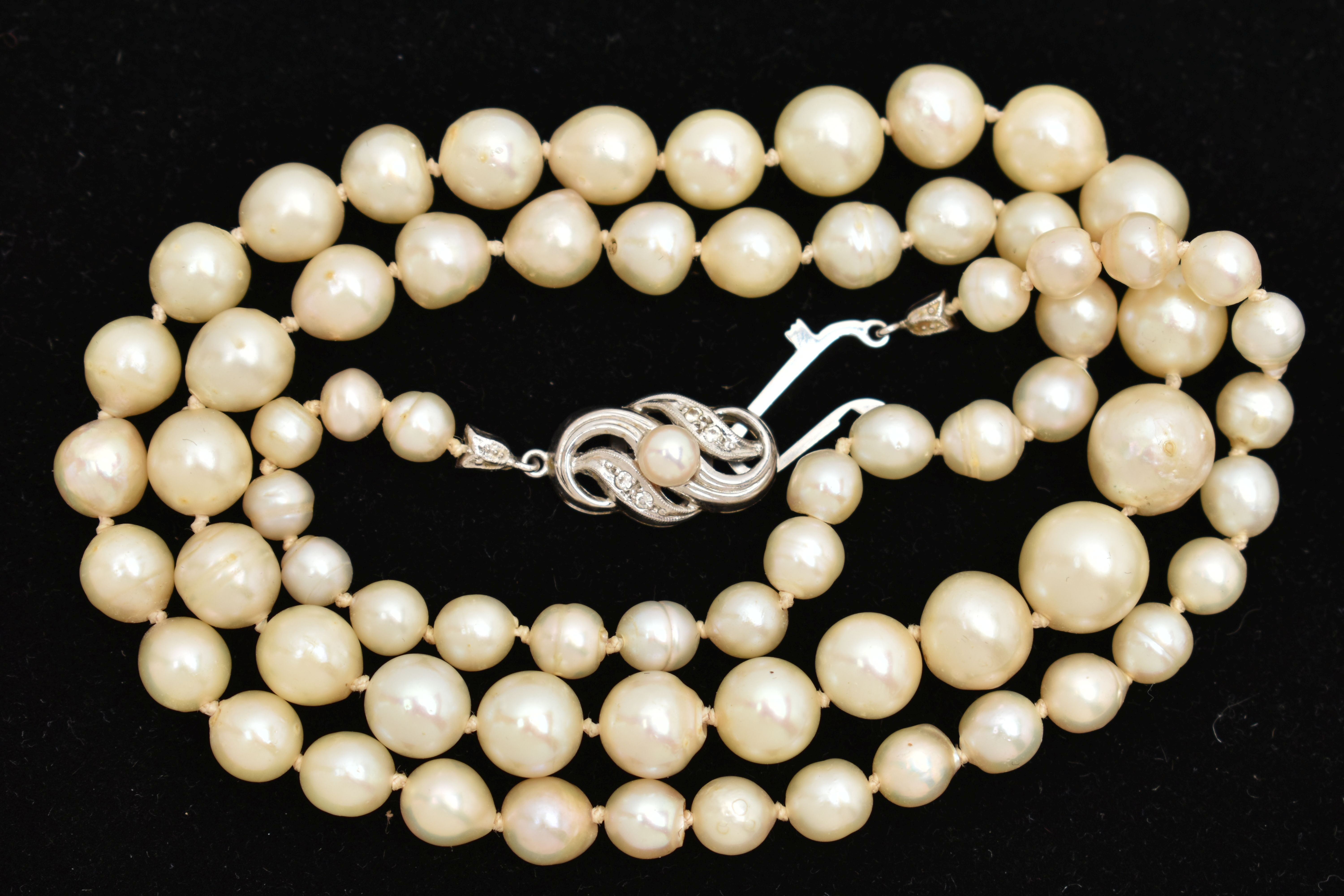 A SINGLE STRAND OF CULTURED PEARLS, individually knotted, graduated pearls, measuring - Image 3 of 4