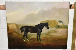 A 19TH CENTURY STUDY OF A BAY COLOURED HUNTER IN A LANDSCAPE, no visible signature, oil on canvas,