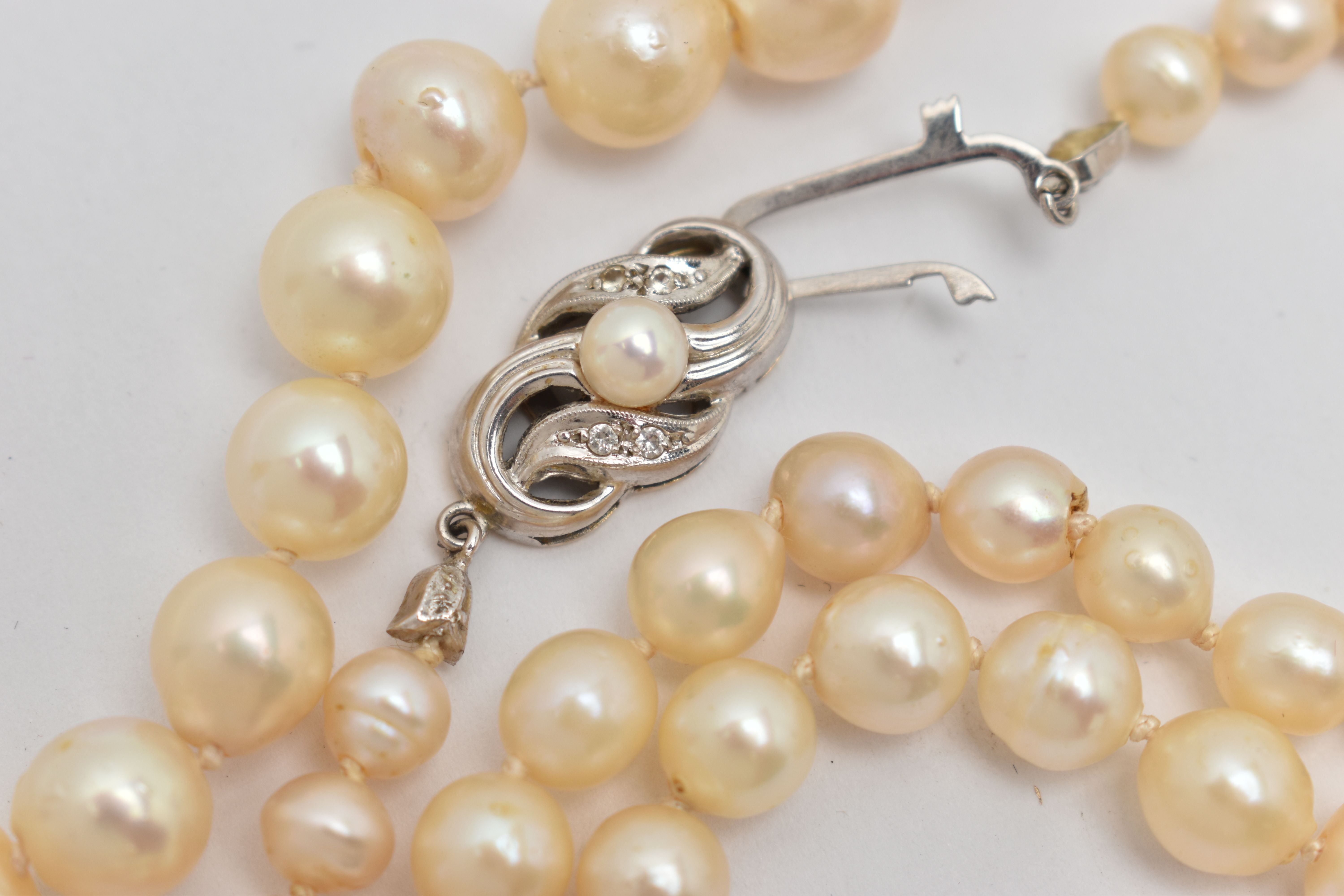 A SINGLE STRAND OF CULTURED PEARLS, individually knotted, graduated pearls, measuring - Image 2 of 4