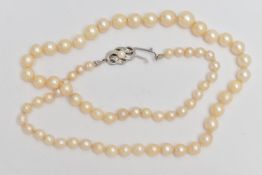 A SINGLE STRAND OF CULTURED PEARLS, individually knotted, graduated pearls, measuring
