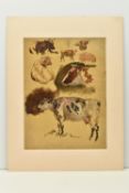 CIRCLE OF ROBERT HILLS (1769-1844) STUDIES OF ANIMALS, six studies of cattle and a pig, oil on