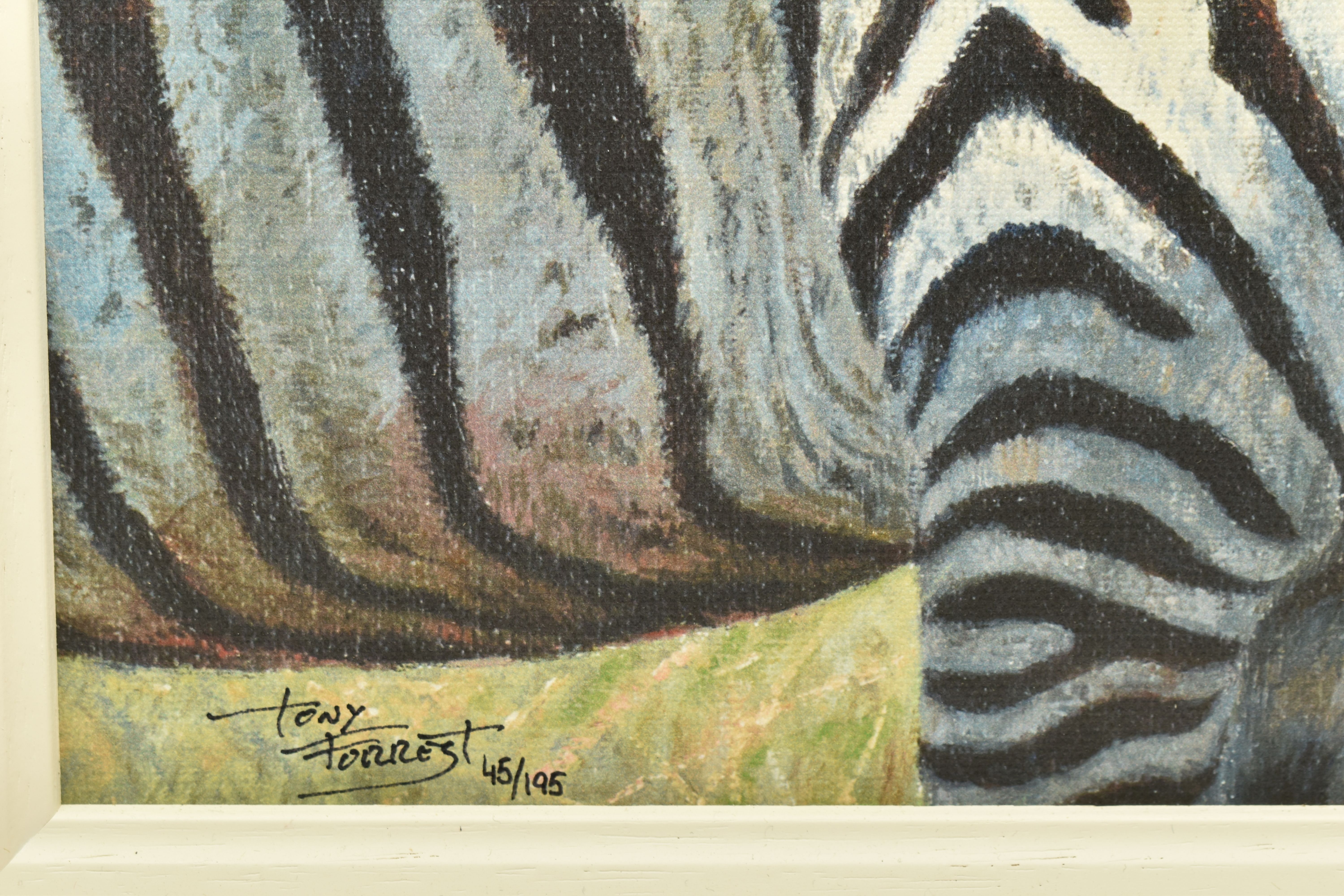 TONY FORREST (BRITISH 1961) 'NEAREST AND DEAREST', a signed limited edition print on board of zebras - Image 3 of 9