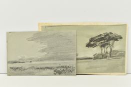 HERCULES BRABAZON BRABAZON (1821-1906) LANDSCAPE STUDY WITH TREES, pencil on paper , initialled