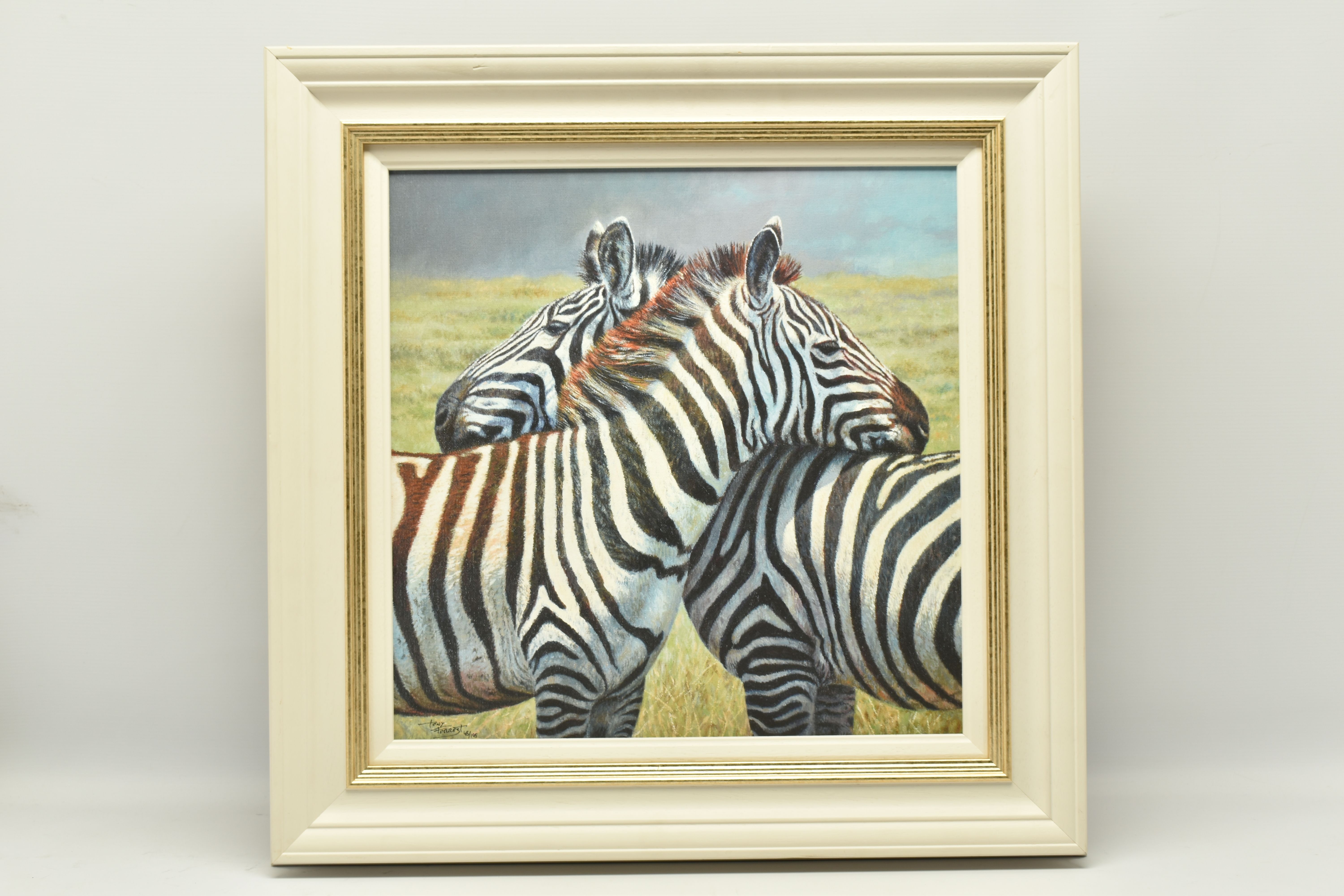 TONY FORREST (BRITISH 1961) 'NEAREST AND DEAREST', a signed limited edition print on board of zebras