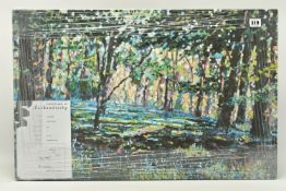 TIMMY MALLETT (BRITISH CONTEMPORARY) 'Bluebell Shadows', limited edition box canvas print of a