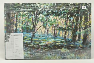 TIMMY MALLETT (BRITISH CONTEMPORARY) 'Bluebell Shadows', limited edition box canvas print of a