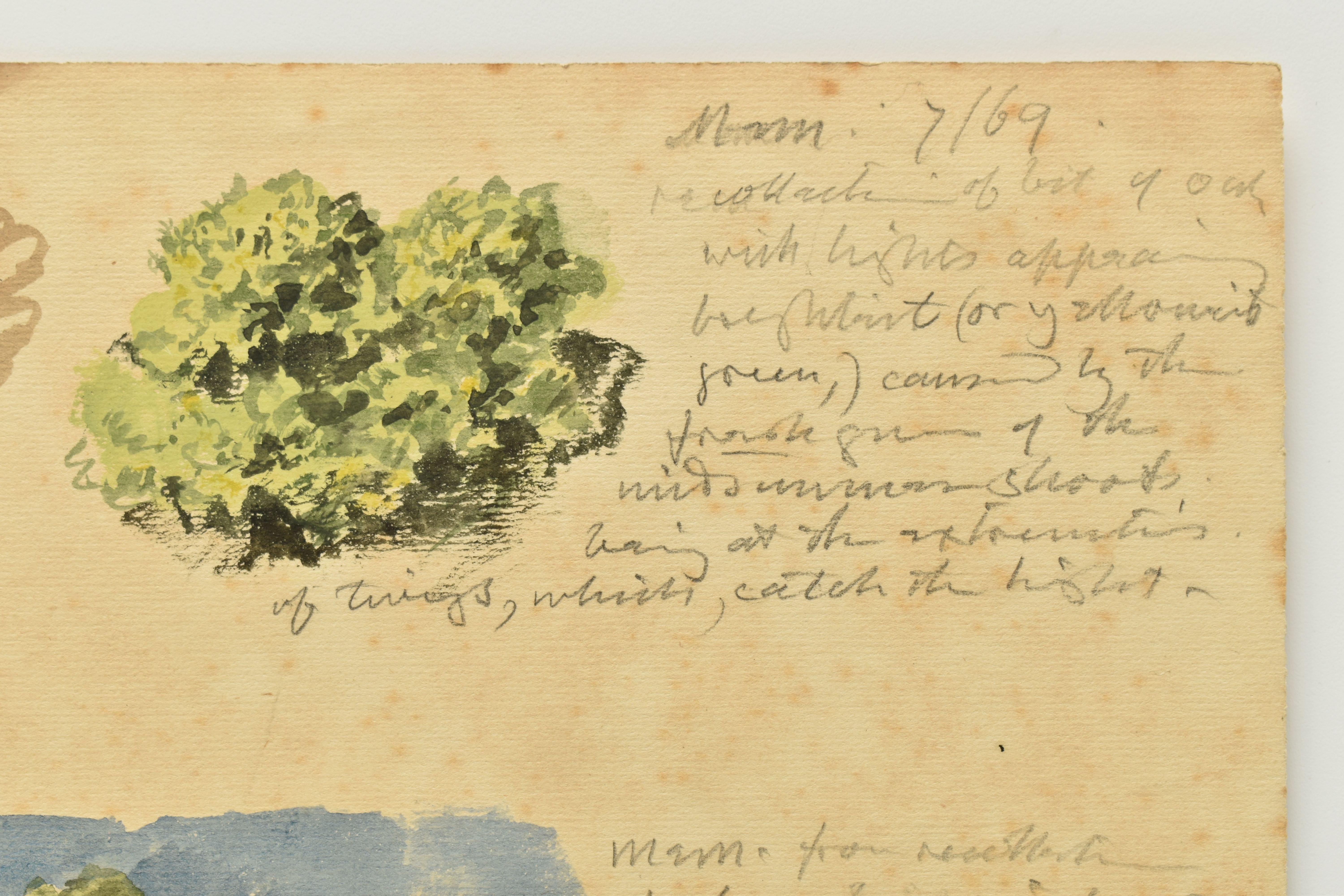 CIRCLE OF JOHN LINNELL AN UNSIGNED STUDY OF FOLIAGE WITH NOTES, two watercolour - Image 2 of 5