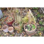 A SELECTION OF VARIOUS PLANT POTS, to include two glazed pots, three terracotta pots, etc (9)