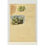 CIRCLE OF JOHN LINNELL AN UNSIGNED STUDY OF FOLIAGE WITH NOTES, two watercolour