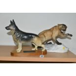 TWO BESWICK ANIMAL FIGURES, comprising a Connoisurre model of an Alsatian, a matt glazed German