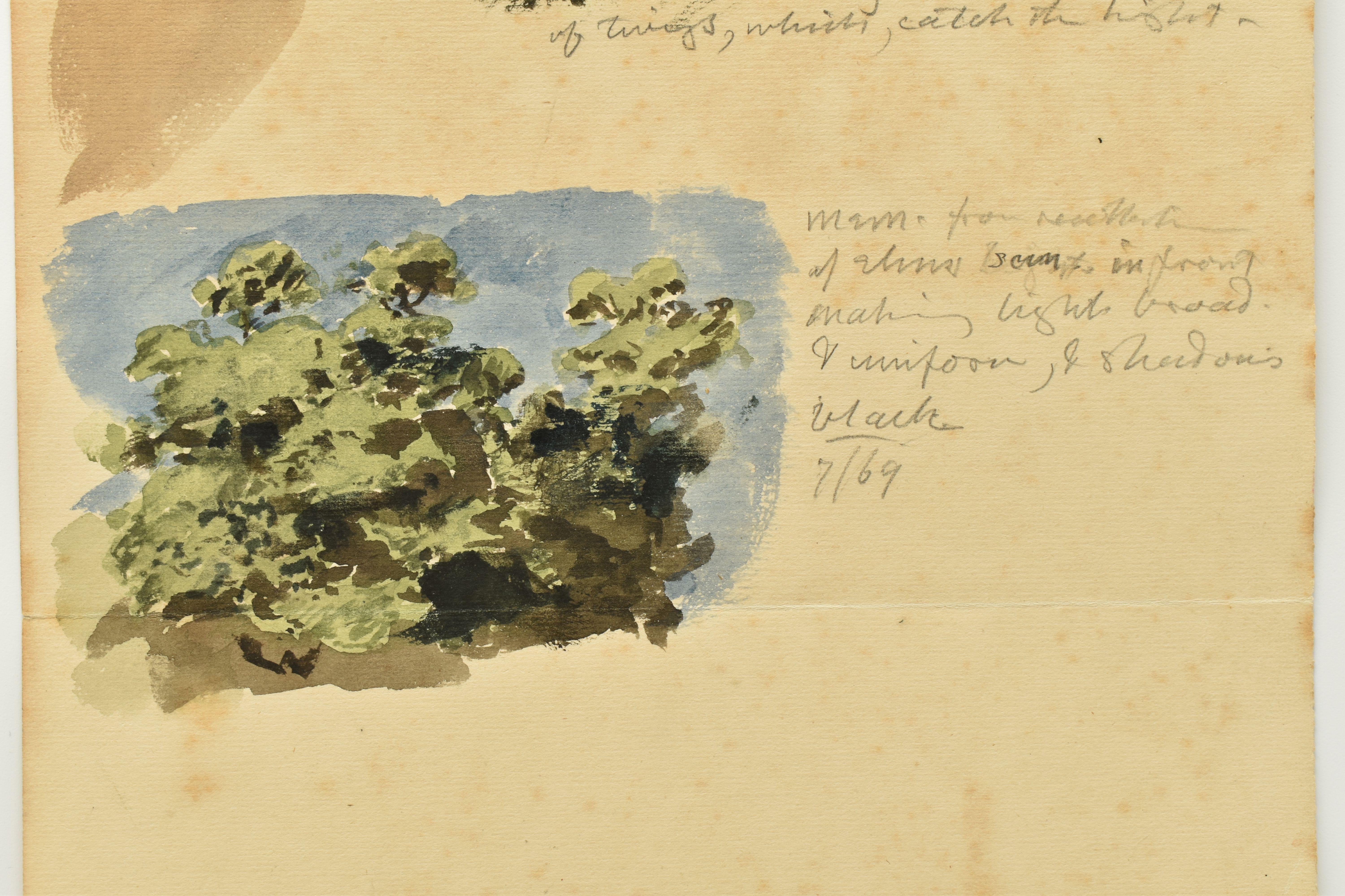 CIRCLE OF JOHN LINNELL AN UNSIGNED STUDY OF FOLIAGE WITH NOTES, two watercolour - Image 3 of 5