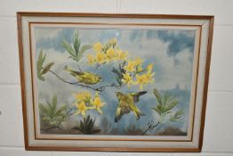 ROBIN GIBBARD (1930-2014) 'GREENFINCHES AND AZALEAS', two birds in a naturalistic setting, signed