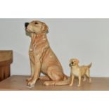 TWO BESWICK LABRADOR FIGURES, comprising a large Beswick Fireside Models seated Labrador, model no