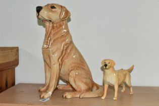 TWO BESWICK LABRADOR FIGURES, comprising a large Beswick Fireside Models seated Labrador, model no