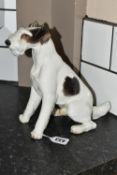 A NYMPHENBURG PORCELAIN FIGURE OF A SEATED FOX TERRIER, impressed no's 628 5, impressed shield mark,