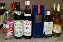 SIXTEEN BOTTLES OF SPIRITS comprising eight bottles of assorted Vodka (3 x 1L bottles of Smirnoff