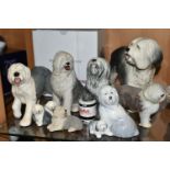 EIGHT OLD ENGLISH SHEEP DOG SCULPTURES, comprising Royal Doulton Dulux dog with box, approximate