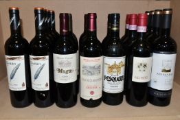 TWENTY-TWO BOTTLES OF SPANISH, Italian & New World Red Wine comprising five bottles of CAPA