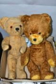 TWO SECOND HALF 20TH CENTURY STRAW FILLED TEDDY BEARS, the two tone plush bear with growler, plastic