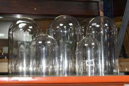 EIGHT GLASS AND PERSPEX DOMES, comprising four glass domes, ranging in height from 14.5cm to 26cm,