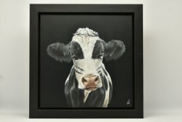 HAYLEY GOODHEAD (BRITISH CONTEMPORARY) 'THE CATMAN', a portrait of a black and white cow, initialled