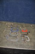 A BAG CONTAINING TEN G CLAMPS including five by Record, three by Woden etc (10)