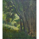 Czech School, 20th century- Woodland scene; oil on canvas, 95 x 84.5 cm. Framed, and unexamined