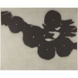 Donald Sultan, American b.1951- Morning Glory, 1991; etching with aquatint on wove, initialed,