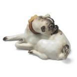 A Meissen porcelain small model of a pug dog, c.1740, in recumbent pose, its head turned to preen...