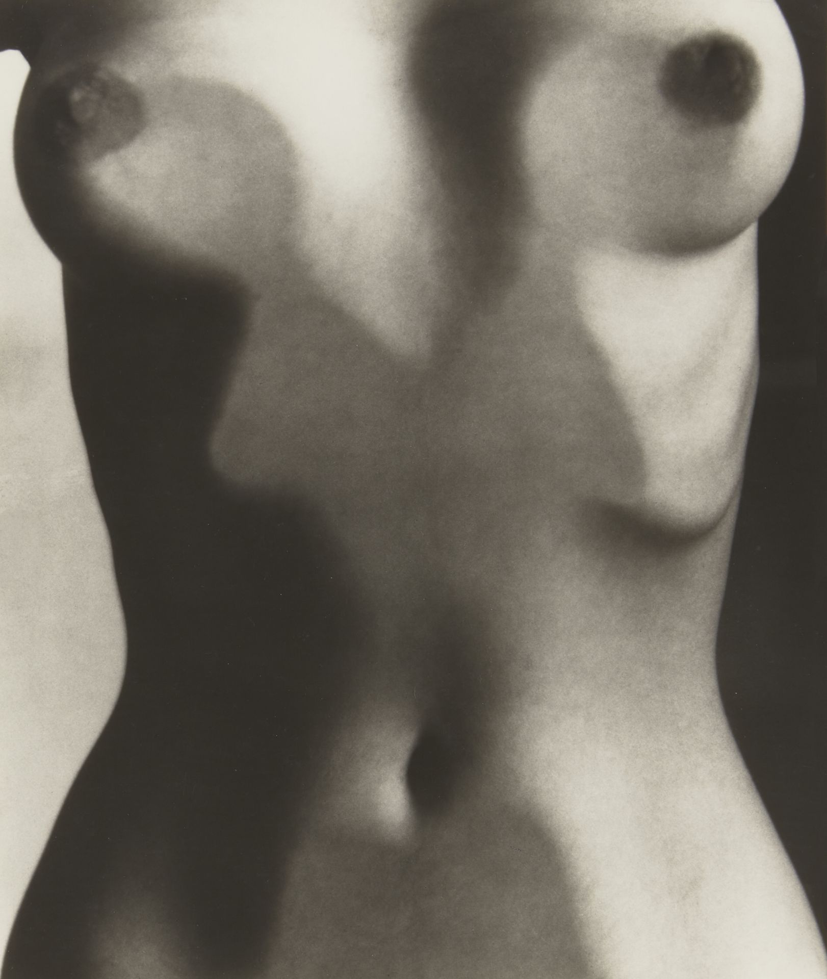 Ruth Bernhard, American 1905–2006, Shells in Silk, 1939; Symbiosis, 1971; Abstract Torso, 1947; ... - Bild 3 aus 3