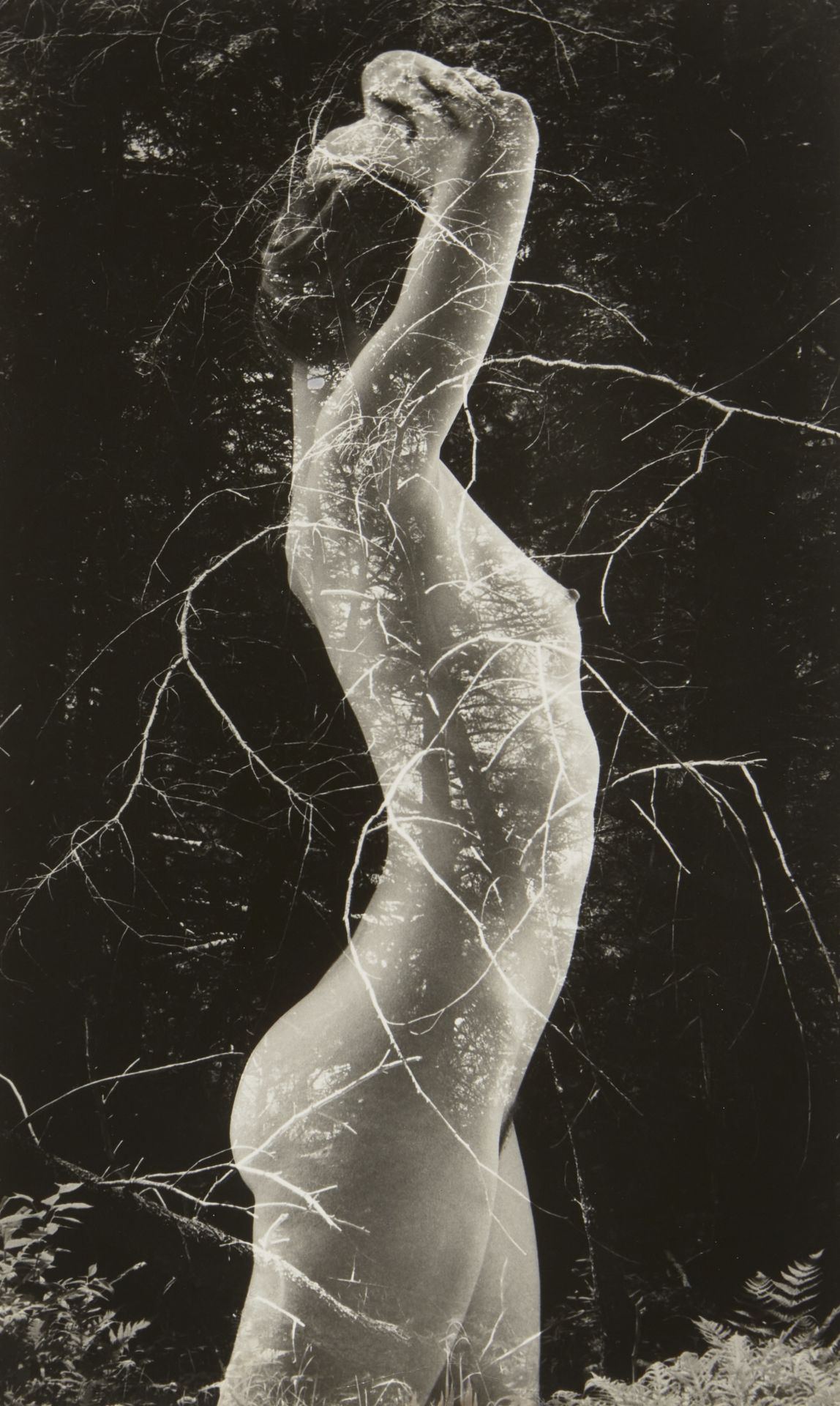Ruth Bernhard, American 1905–2006, Shells in Silk, 1939; Symbiosis, 1971; Abstract Torso, 1947; ... - Bild 2 aus 3