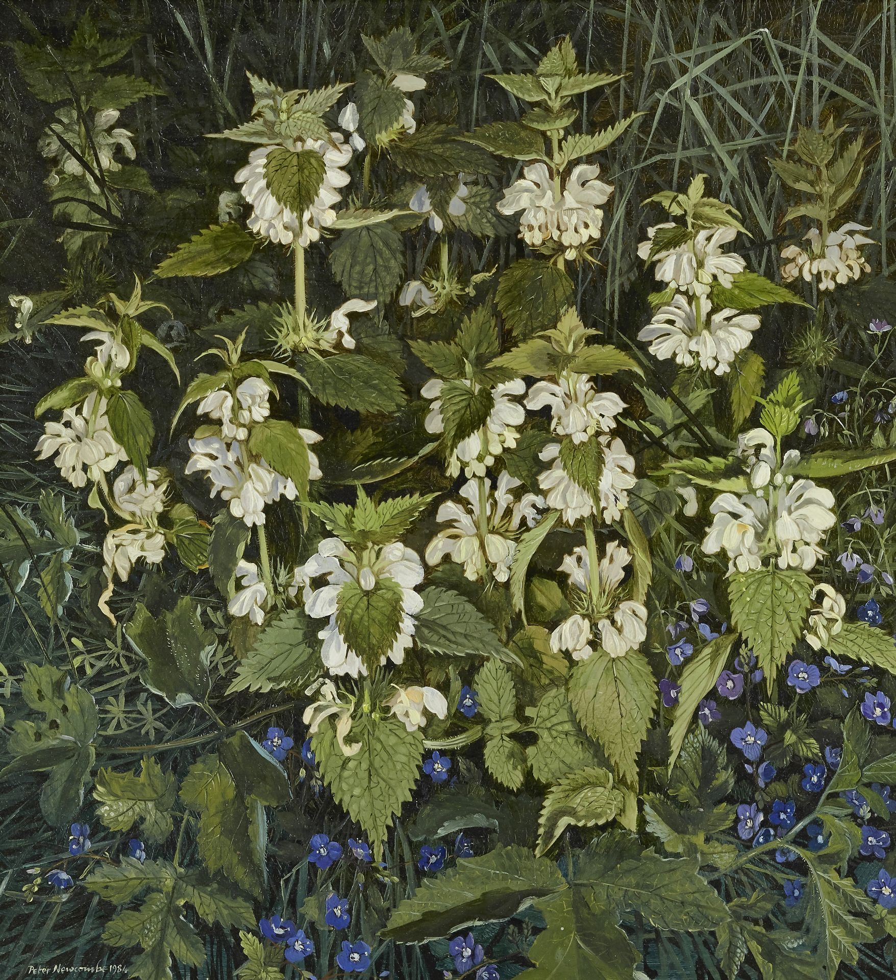 Peter Newcombe,  British b. 1943 -  White Dead Nettles, 1984;  oil on board, signed and dated l...
