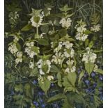 Peter Newcombe,  British b. 1943 -  White Dead Nettles, 1984;  oil on board, signed and dated l...